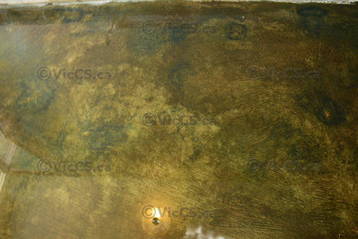 concretepicsrandom1347copy